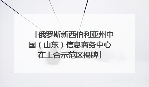 俄罗斯新西伯利亚州中国(山东)信息商务中心在上合示范区揭牌