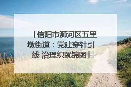 信阳市浉河区五里墩街道：党建穿针引线 治理织就锦图
