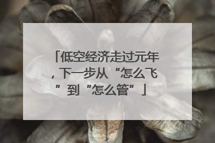 低空经济走过元年，下一步从“怎么飞”到“怎么管”