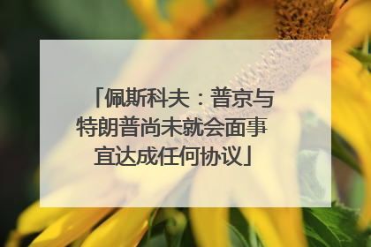 佩斯科夫：普京与特朗普尚未就会面事宜达成任何协议