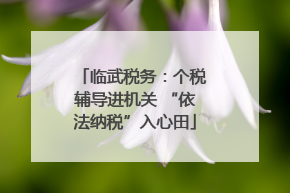临武税务：个税辅导进机关 “依法纳税”入心田