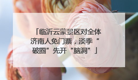 临沂云蒙景区对全体济南人免门票，淡季“破圈”先开“脑洞”