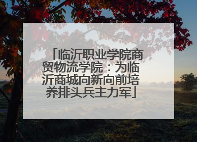 临沂职业学院商贸物流学院：为临沂商城向新向前培养排头兵主力军