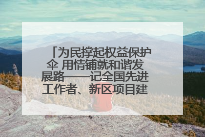为民撑起权益保护伞 用情铺就和谐发展路——记全国先进工作者、新区项目建设中心干部卢小勇