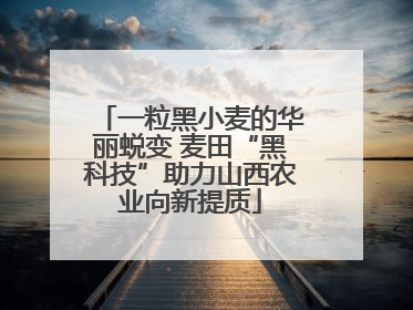 一粒黑小麦的华丽蜕变 麦田“黑科技”助力山西农业向新提质