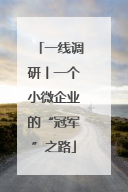 一线调研丨一个小微企业的“冠军”之路