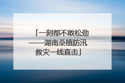 一刻都不敢松劲——湖南桑植防汛救灾一线直击