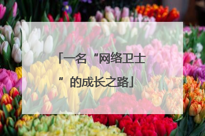一名“网络卫士”的成长之路