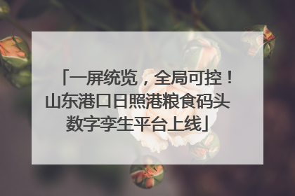 一屏统览，全局可控！山东港口日照港粮食码头数字孪生平台上线