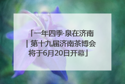 一年四季·泉在济南｜第十九届济南茶博会将于6月20日开幕