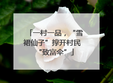 一村一品，“雪裙仙子”撑开村民“致富伞”