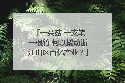 一朵菇 一支笔 一根竹 何以撬动浙江山区百亿产业？