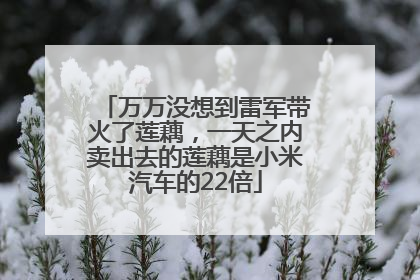 万万没想到雷军带火了莲藕，一天之内卖出去的莲藕是小米汽车的22倍