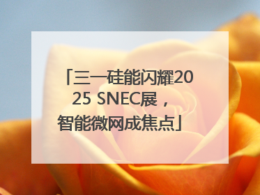 三一硅能闪耀2025 SNEC展，智能微网成焦点
