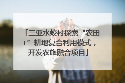 三亚水蛟村探索“农田+”耕地复合利用模式，开发农旅融合项目