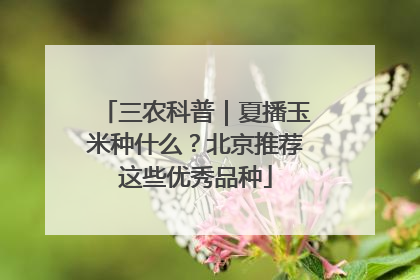 三农科普｜夏播玉米种什么？北京推荐这些优秀品种