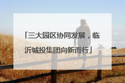 三大园区协同发展，临沂城投集团向新而行