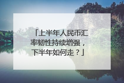 上半年人民币汇率韧性持续增强，下半年如何走？