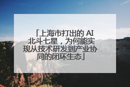 上海市打出的 AI 北斗七星，为何能实现从技术研发到产业协同的闭环生态