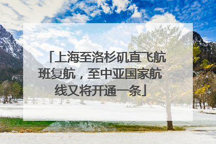 上海至洛杉矶直飞航班复航，至中亚国家航线又将开通一条