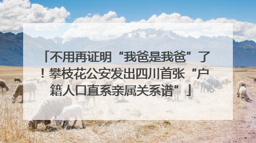 不用再证明“我爸是我爸”了！攀枝花公安发出四川首张“户籍人口直系亲属关系谱”