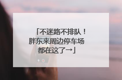不迷路不排队！胖东来周边停车场都在这了→