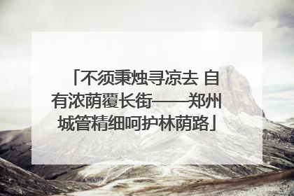 不须秉烛寻凉去 自有浓荫覆长街——郑州城管精细呵护林荫路