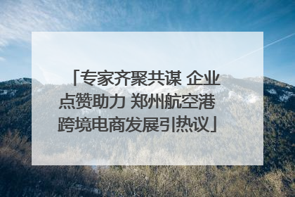 专家齐聚共谋 企业点赞助力 郑州航空港跨境电商发展引热议