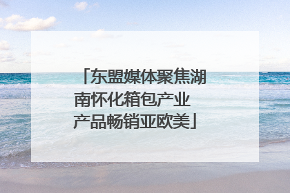 东盟媒体聚焦湖南怀化箱包产业 产品畅销亚欧美