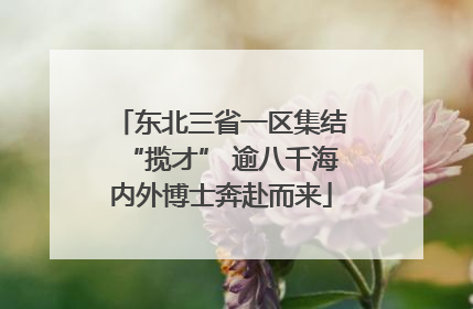 东北三省一区集结“揽才” 逾八千海内外博士奔赴而来