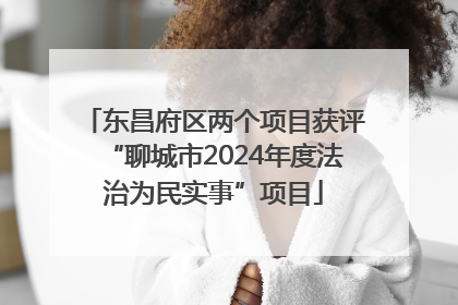 东昌府区两个项目获评“聊城市2024年度法治为民实事”项目