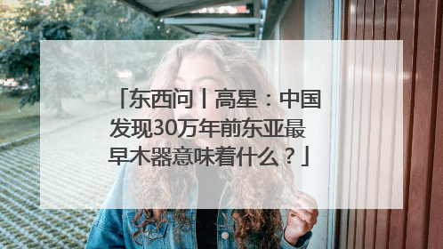东西问丨高星：中国发现30万年前东亚最早木器意味着什么？