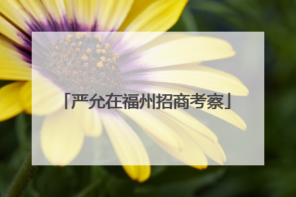严允在福州招商考察