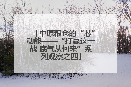 中原粮仓的“芯”动能——“打赢这一战 底气从何来”系列观察之四