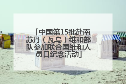 中国第15批赴南苏丹（瓦乌）维和部队参加联合国维和人员日纪念活动