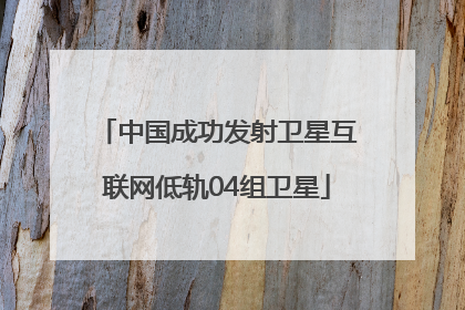 中国成功发射卫星互联网低轨04组卫星