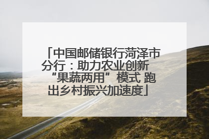 中国邮储银行菏泽市分行：助力农业创新 “果蔬两用”模式 跑出乡村振兴加速度