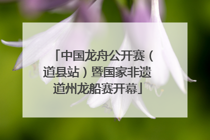 中国龙舟公开赛（道县站）暨国家非遗道州龙船赛开幕