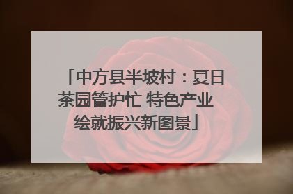 中方县半坡村：夏日茶园管护忙 特色产业绘就振兴新图景
