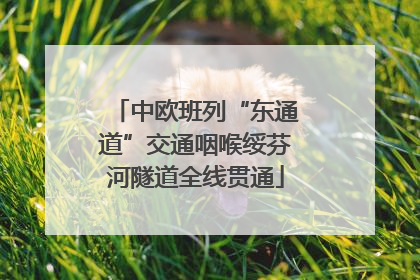 中欧班列“东通道”交通咽喉绥芬河隧道全线贯通