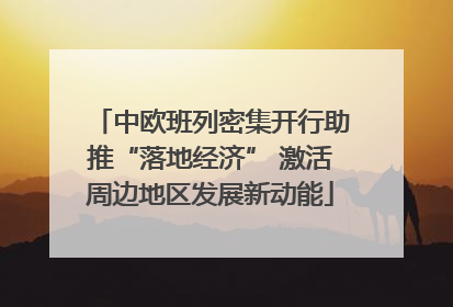 中欧班列密集开行助推“落地经济” 激活周边地区发展新动能