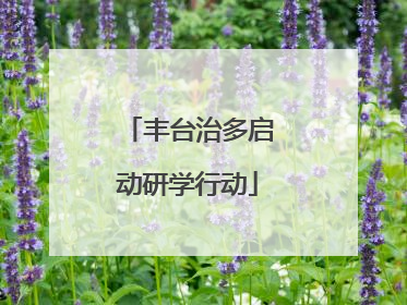 丰台治多启动研学行动