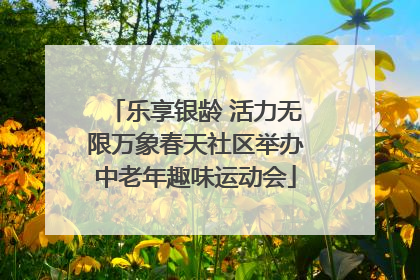 乐享银龄 活力无限万象春天社区举办中老年趣味运动会
