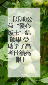 乐助公益“爱心饭卡”结硕果 受助学子高考佳绩亮眼