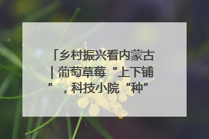 乡村振兴看内蒙古｜葡萄草莓“上下铺”，科技小院“种”出三倍效益