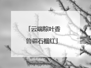 云端粽叶香 鲁疆石榴红