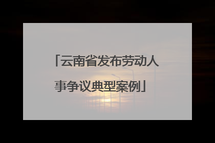 云南省发布劳动人事争议典型案例