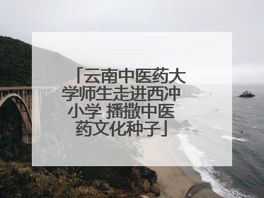 云南中医药大学师生走进西冲小学 播撒中医药文化种子