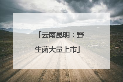 云南昆明：野生菌大量上市