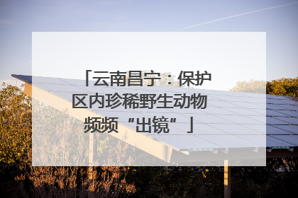 云南昌宁：保护区内珍稀野生动物频频“出镜”